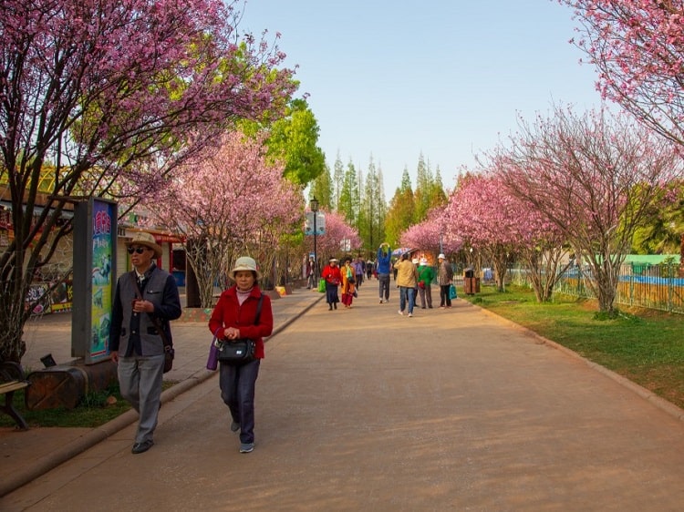 Chinese people walking in the spring